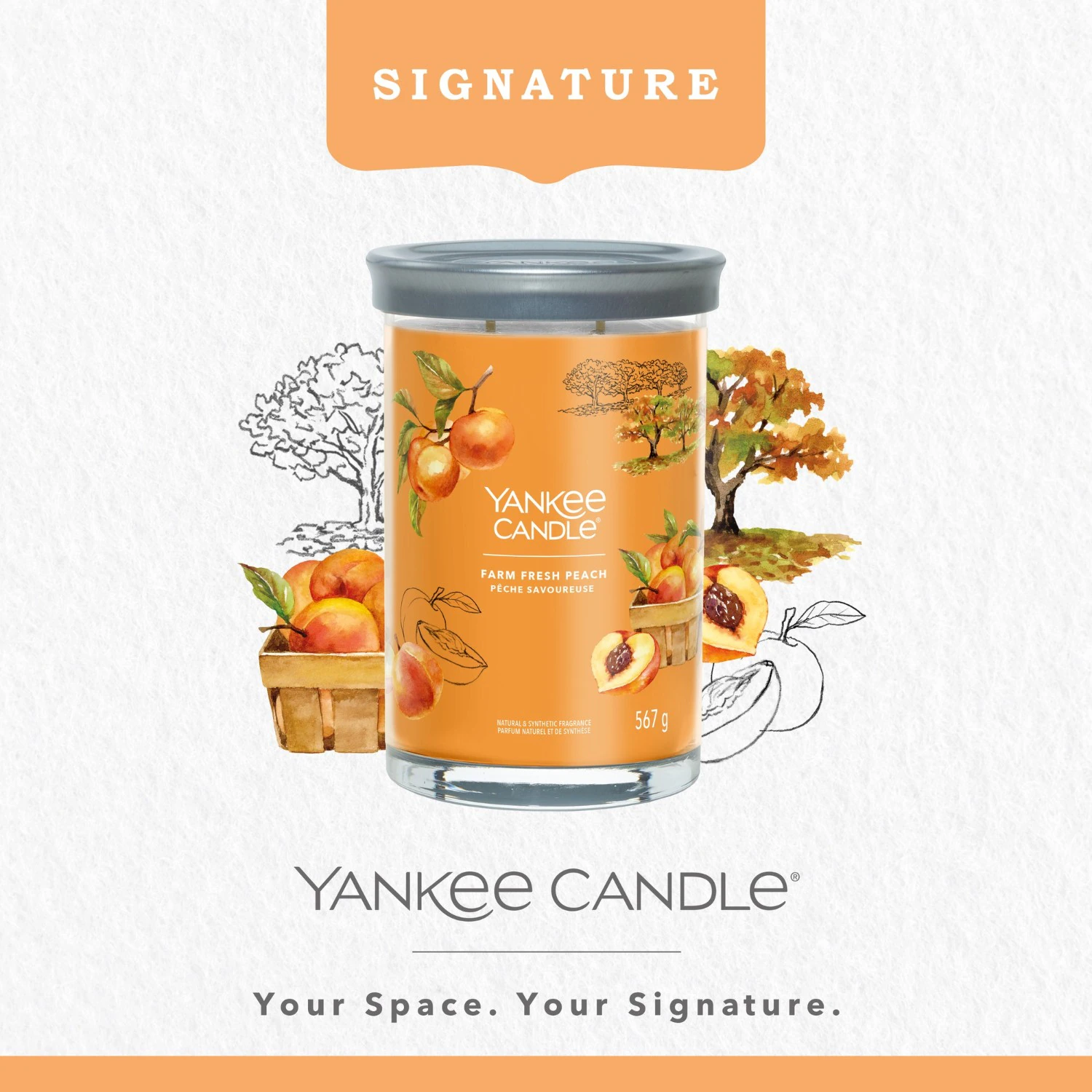 YANKEE CANDLE Grand Gobelet Pêche Savoureuse