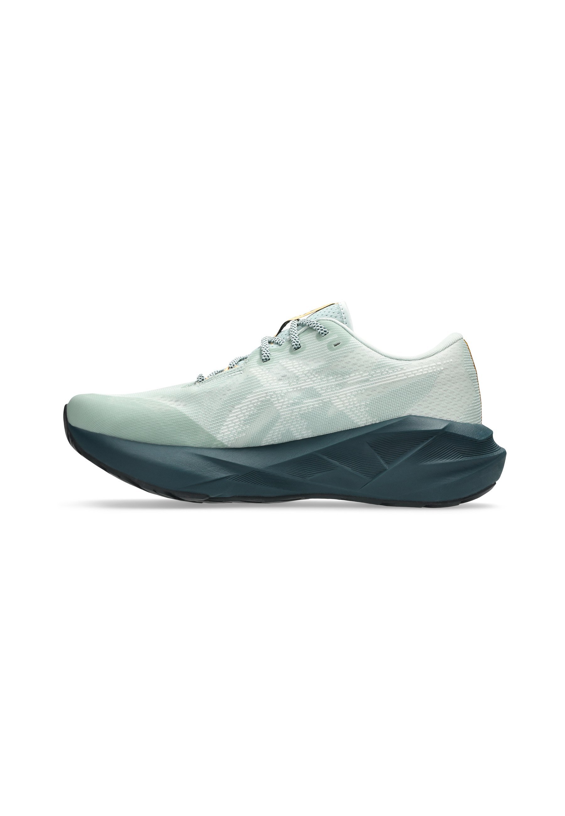 ASICS NOVABLAST 5 TR - Trailrunning schoenen - natuurbaden, korstmos en rots