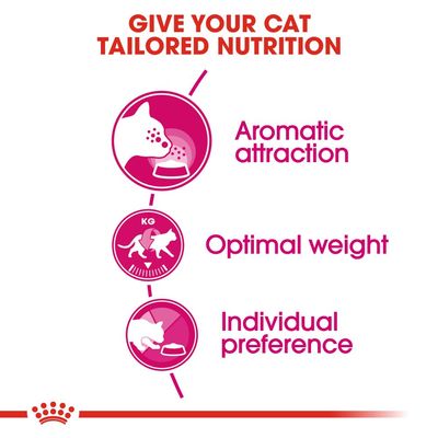 Royal Canin Aroma Exigent -ruoan