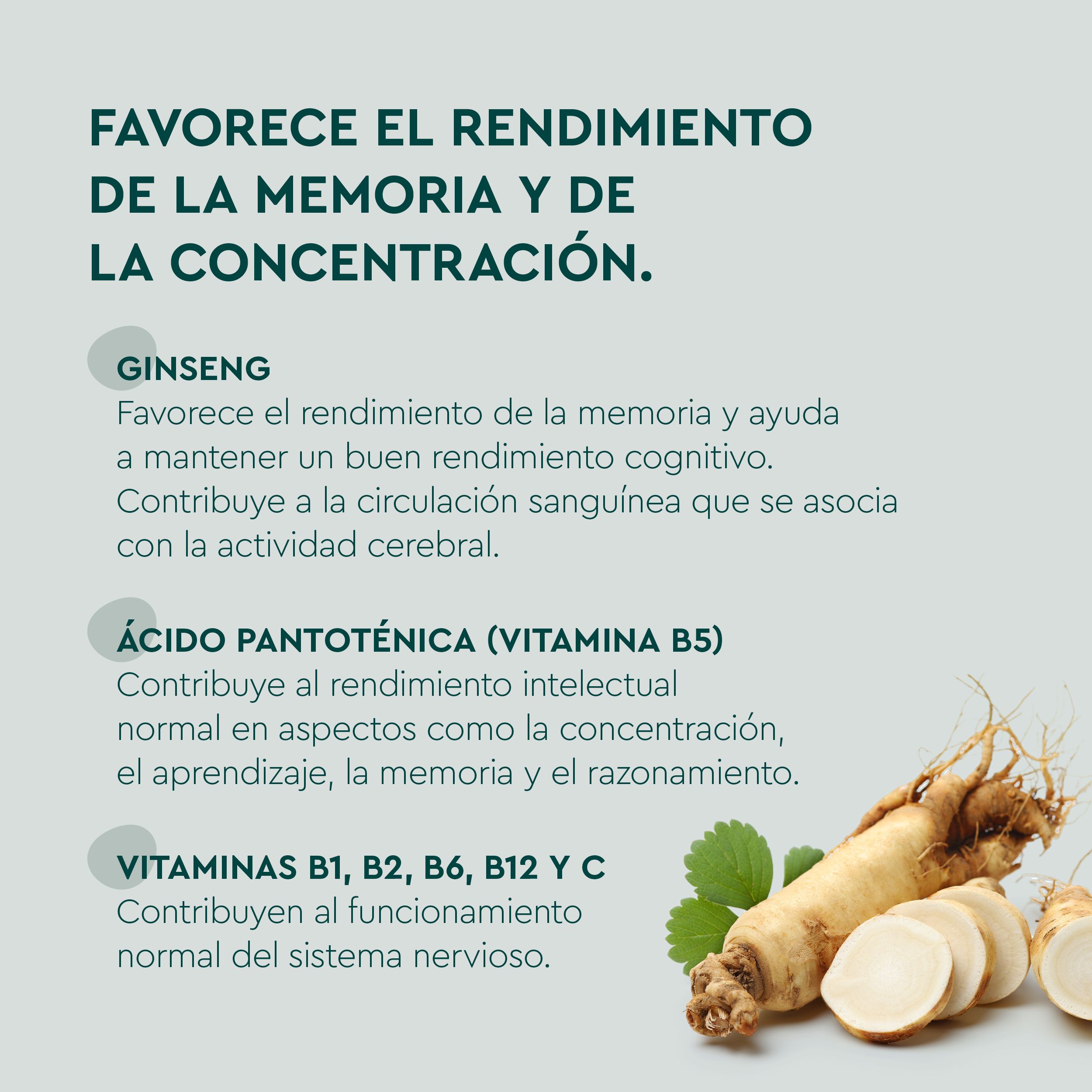 Gumeni bomboni za pamćenje Vitamini i minerali