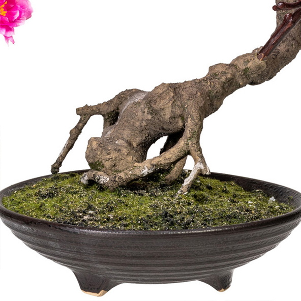 Τεχνητό bonsai cerasum σε τσιμεντοδοχείο, 50 cm