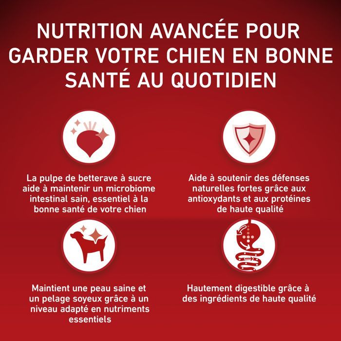 PURINA ONE Chat Stérilisé - au Saumon et au Blé - 4x3kg -Croquettes pour chat adulte