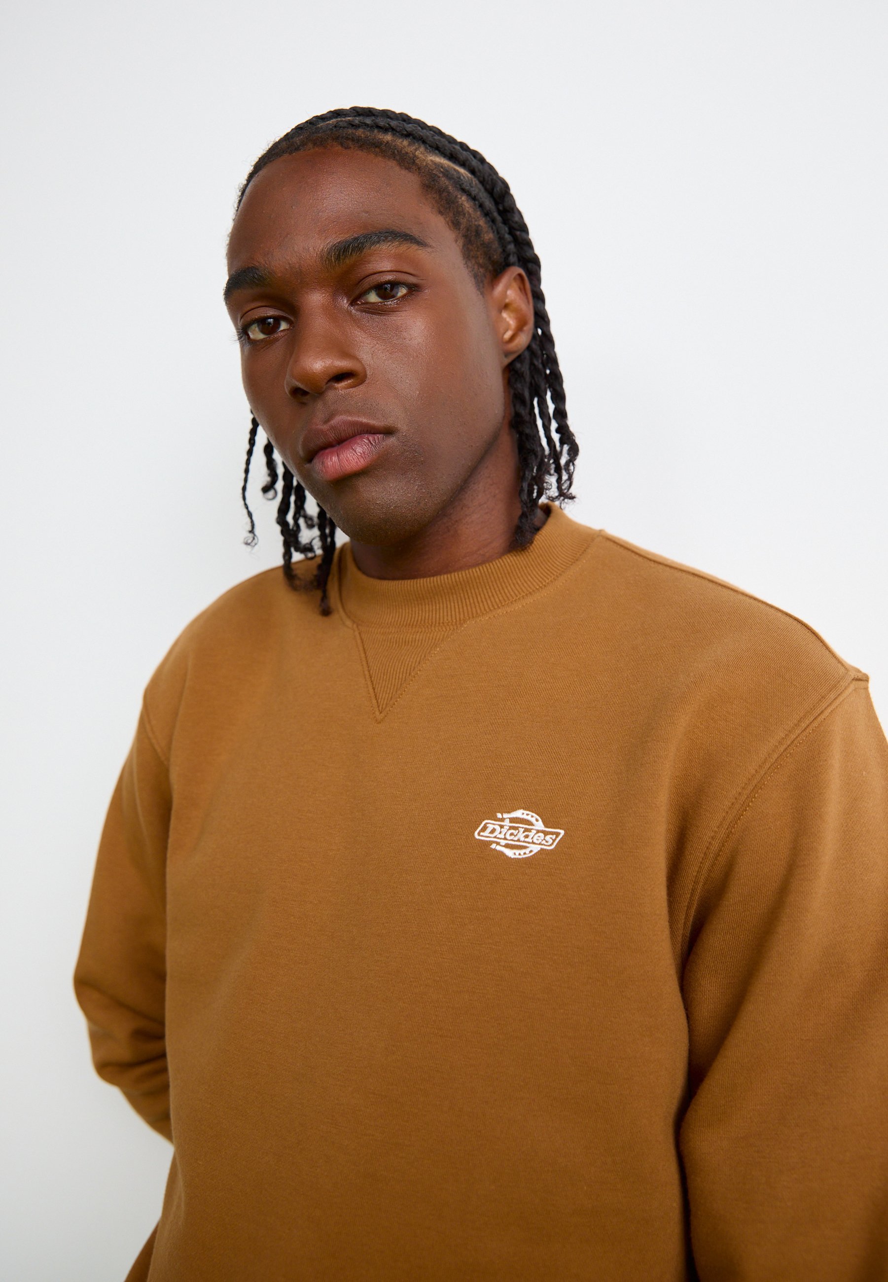 Dickies Sweatshirts