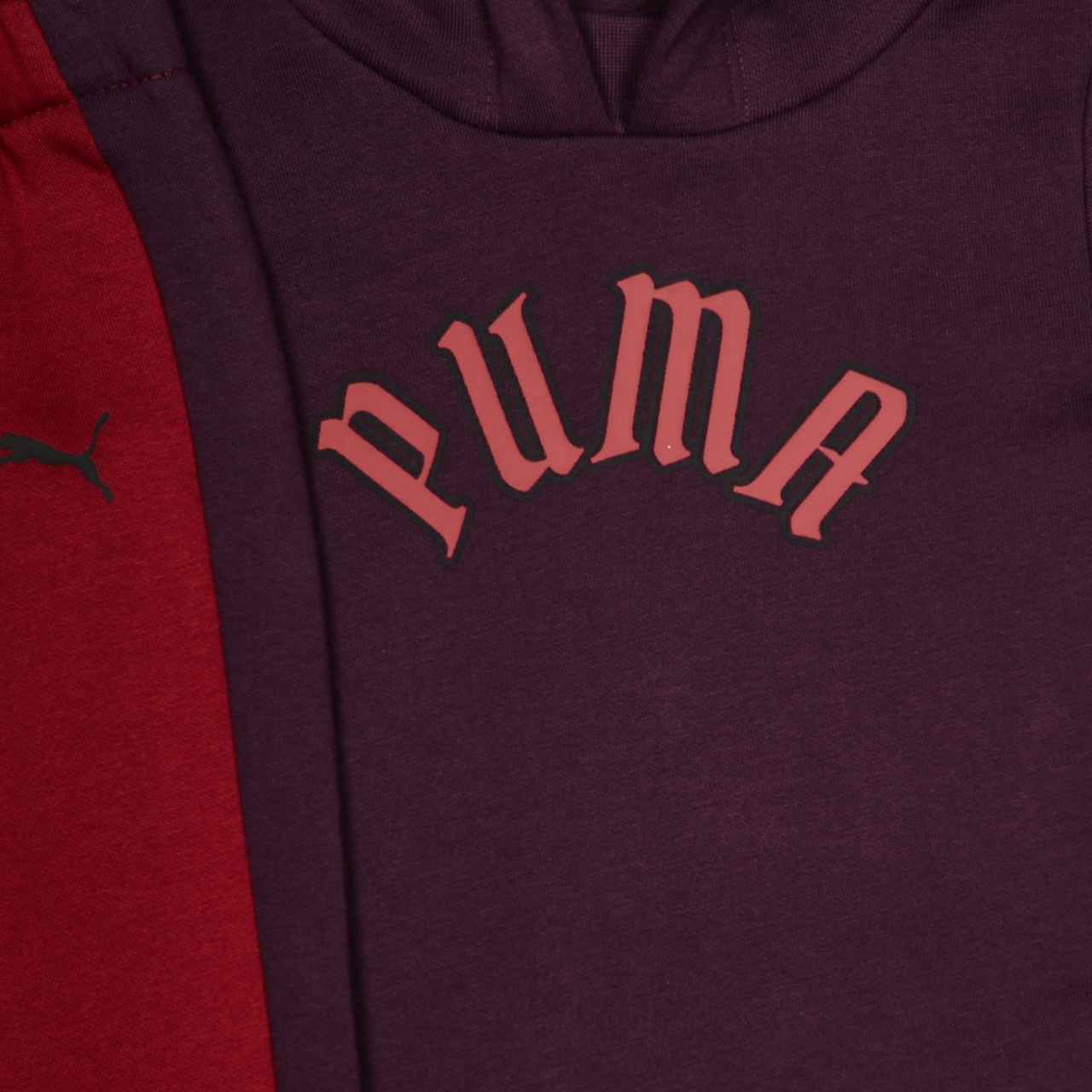Puma Minicats Play Paris