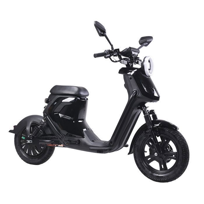 Moto éLectrique Adulte BEZIOR XIAONIU B, Moteur 1500 W, Batterie 48 V 20 Ah, Pneus 12 Pouces.