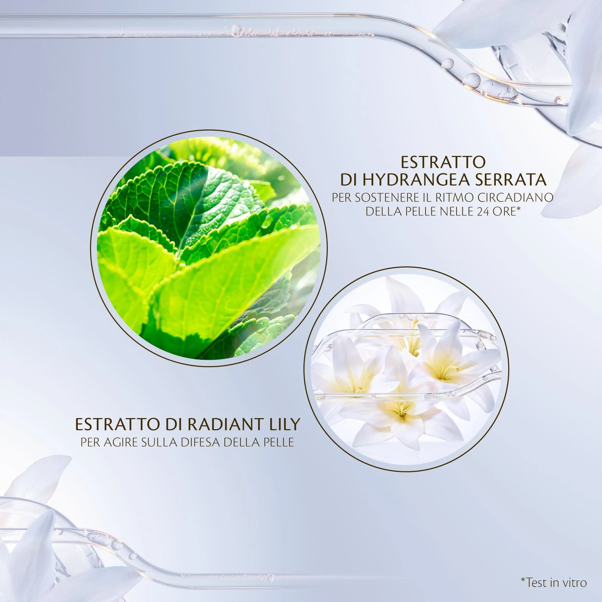 Key Radiance Care Protective Day Emulsion - Fluido viso idratante, Fluido viso primi segni