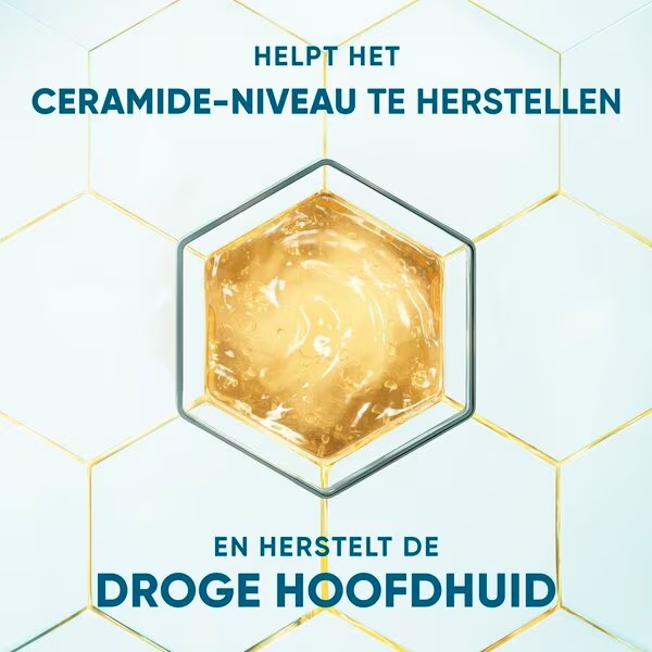 DermaXPro од Head & Shoulders хидратантни шампон против косе<br>250ml