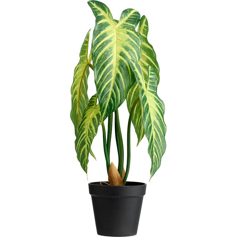 Hjem Xanthosoma plante 50 cm kunstig