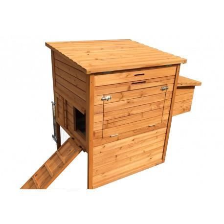 Pollaio per galline barbute M