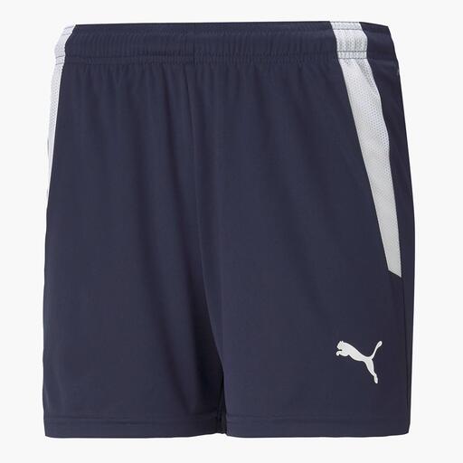 Liga echipelor Puma