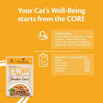Υγρή τροφή για γάτες Wellness Core Tender Cuts για ενήλικες