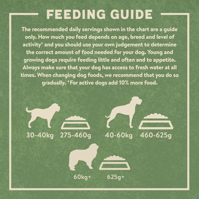 Harringtons Large Breed Adult Dog - Πλούσιο σε Αρνί & Ρύζι
