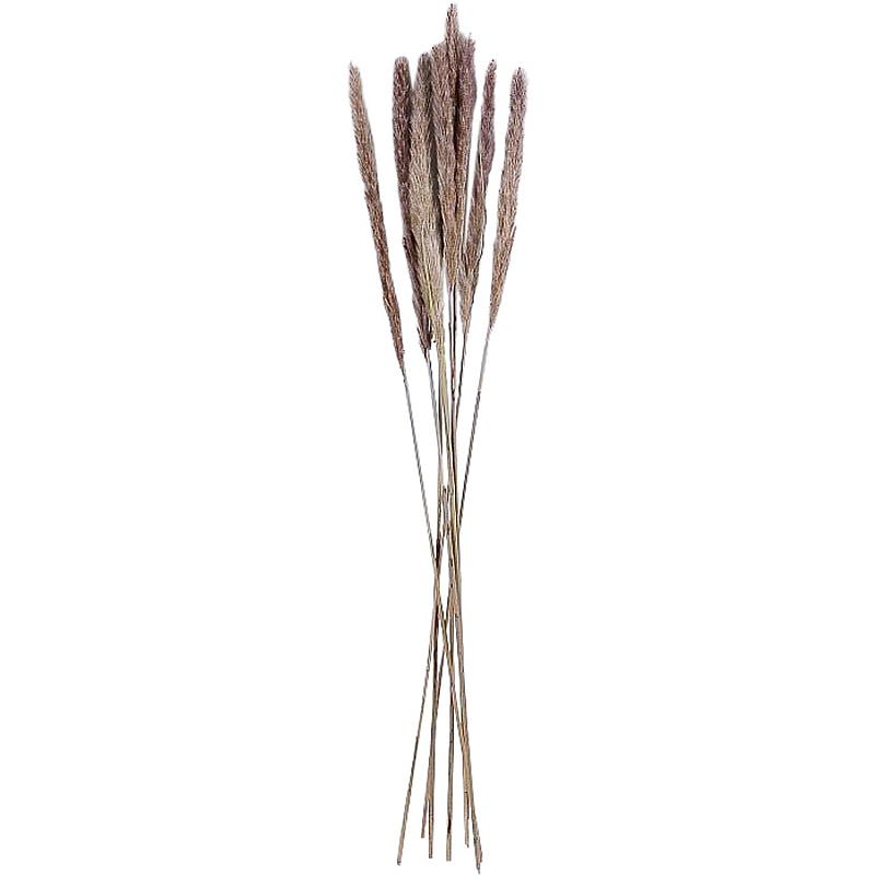 Haushaltsstrohhalme, 8 Stück, 70–75 cm