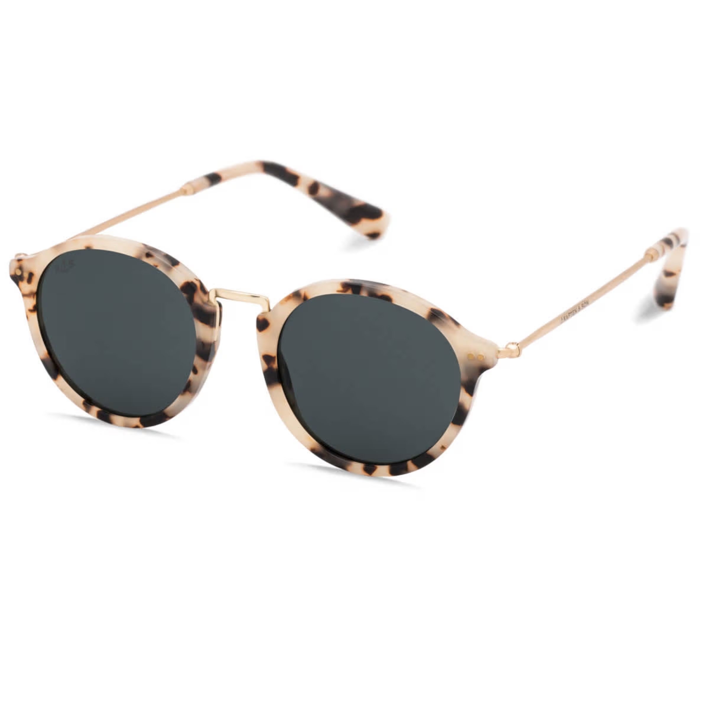 Tortue des sables de Maui noire