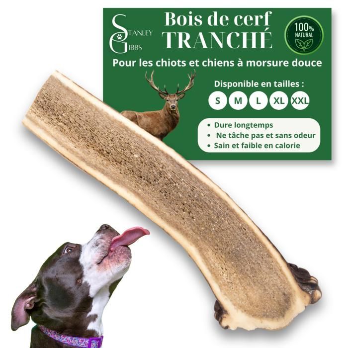 Cuerno de ciervo para que los perros lo mastiquen y corten, tamaño XL, premio para cachorros y perros de todas las edades, juguete para masticar, 1 pieza.