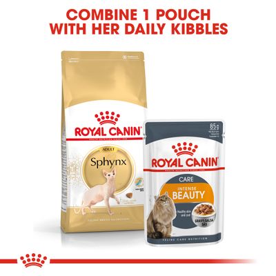 Royal Canin Sphynx Adult