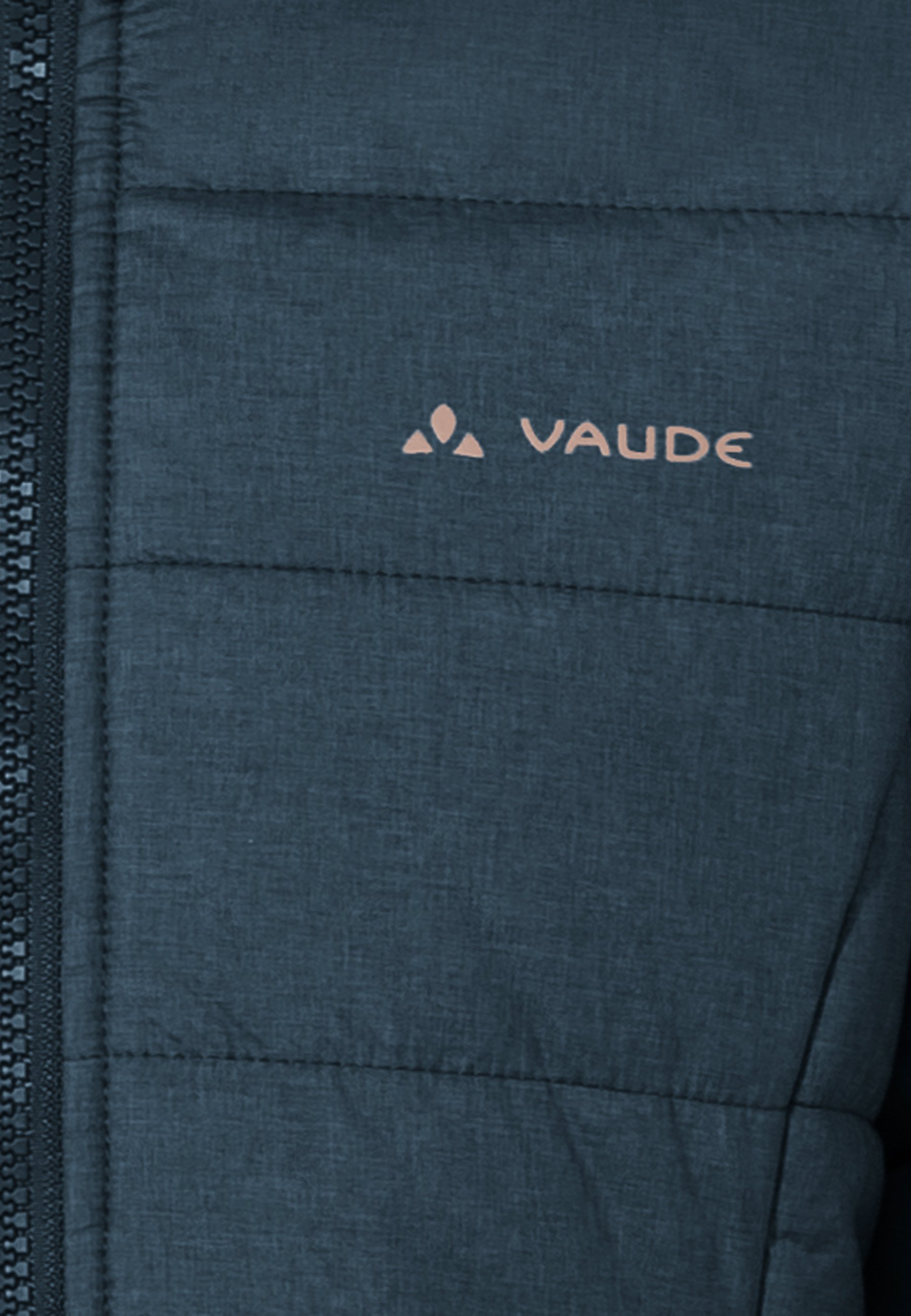 Verdier Vaude - Pelage d'hiver - mer foncée/rose