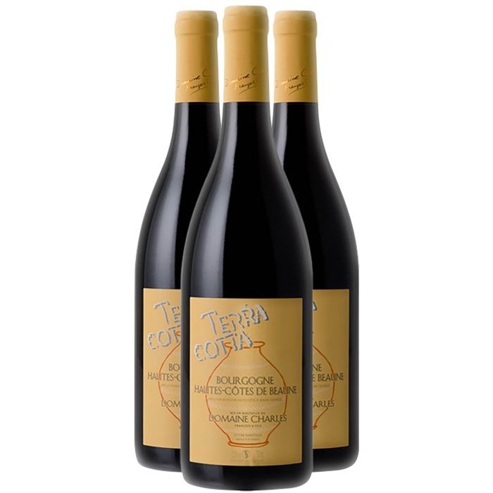 Domaine Charles François et Fils Bourgogne Hautes Côtes de Beaune Terra Cotta 2019 - Vin Rouge de Bourgogne (3x75cl)