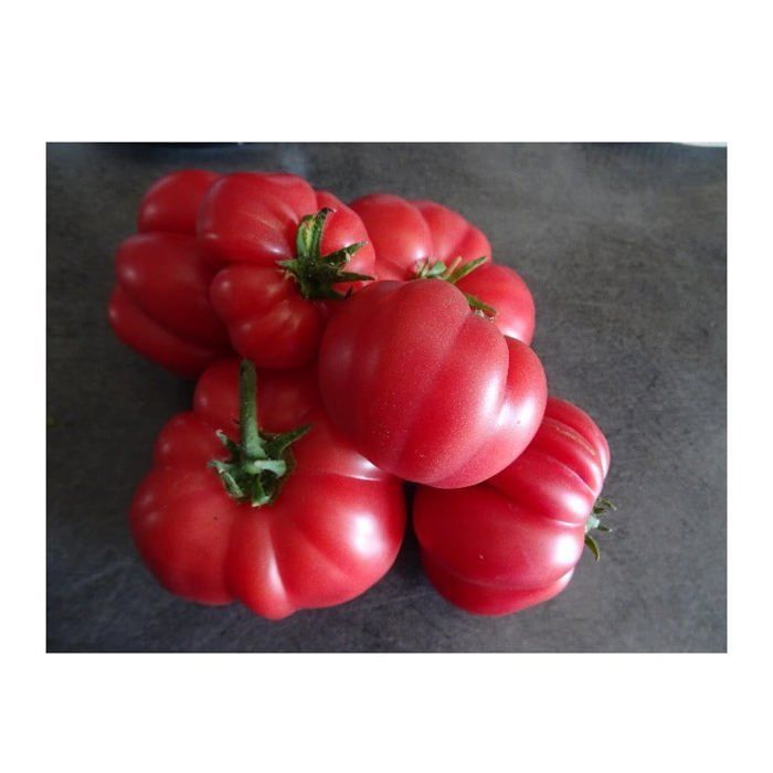 Graine - Semence - Tomate Cerise rouge