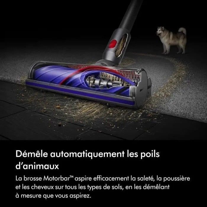 Dyson V8 Advanced draadloze steelstofzuiger + lage kastadapter