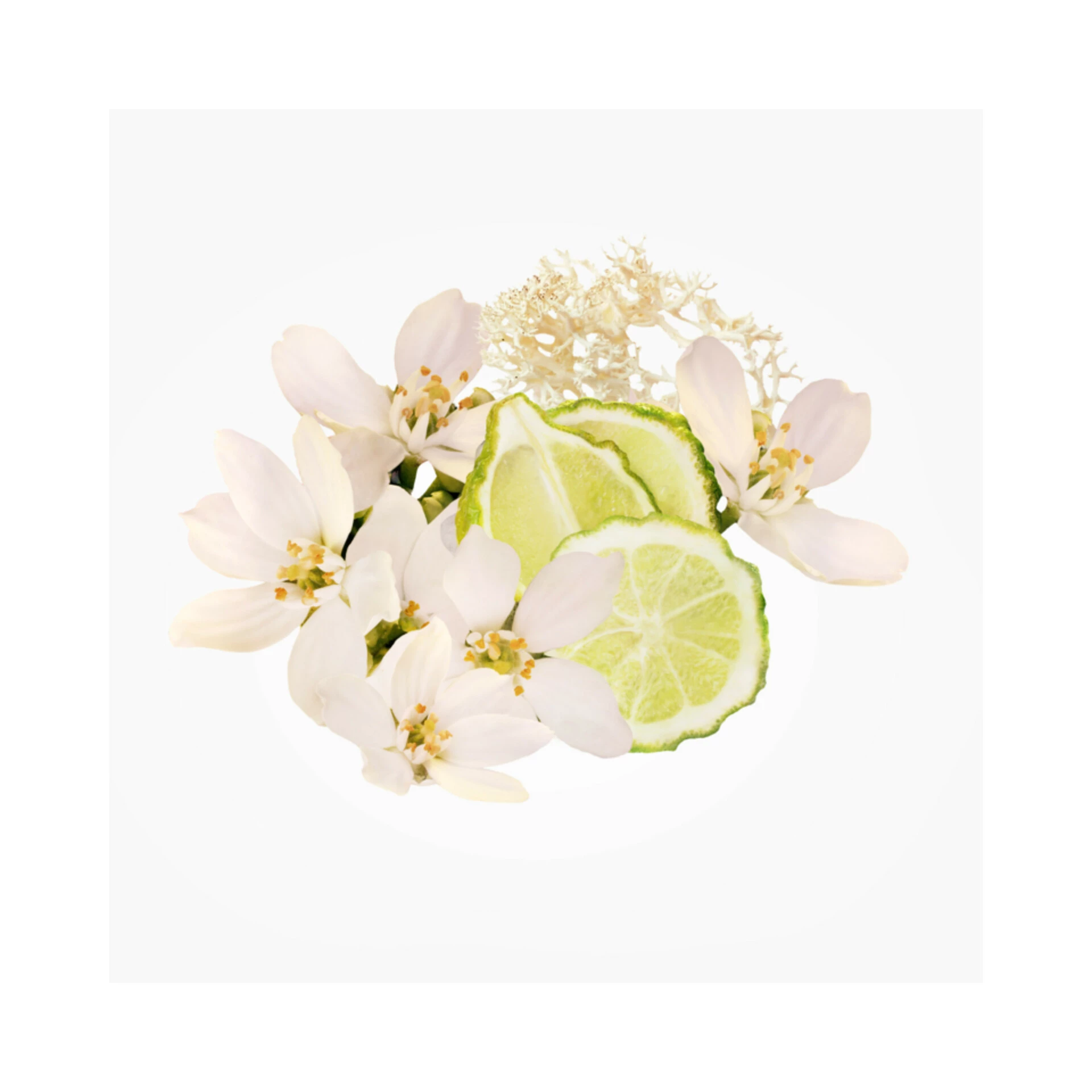 Voce Viva EdP 50 ml - Valentino