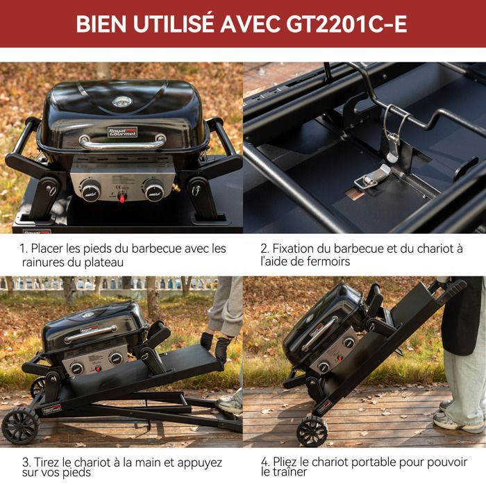 Royal Gourmet draagbare gasbarbecue met afneembare wagen - 2 branders, 5 kW vermogen, kookoppervlak 48 x 37 cm
