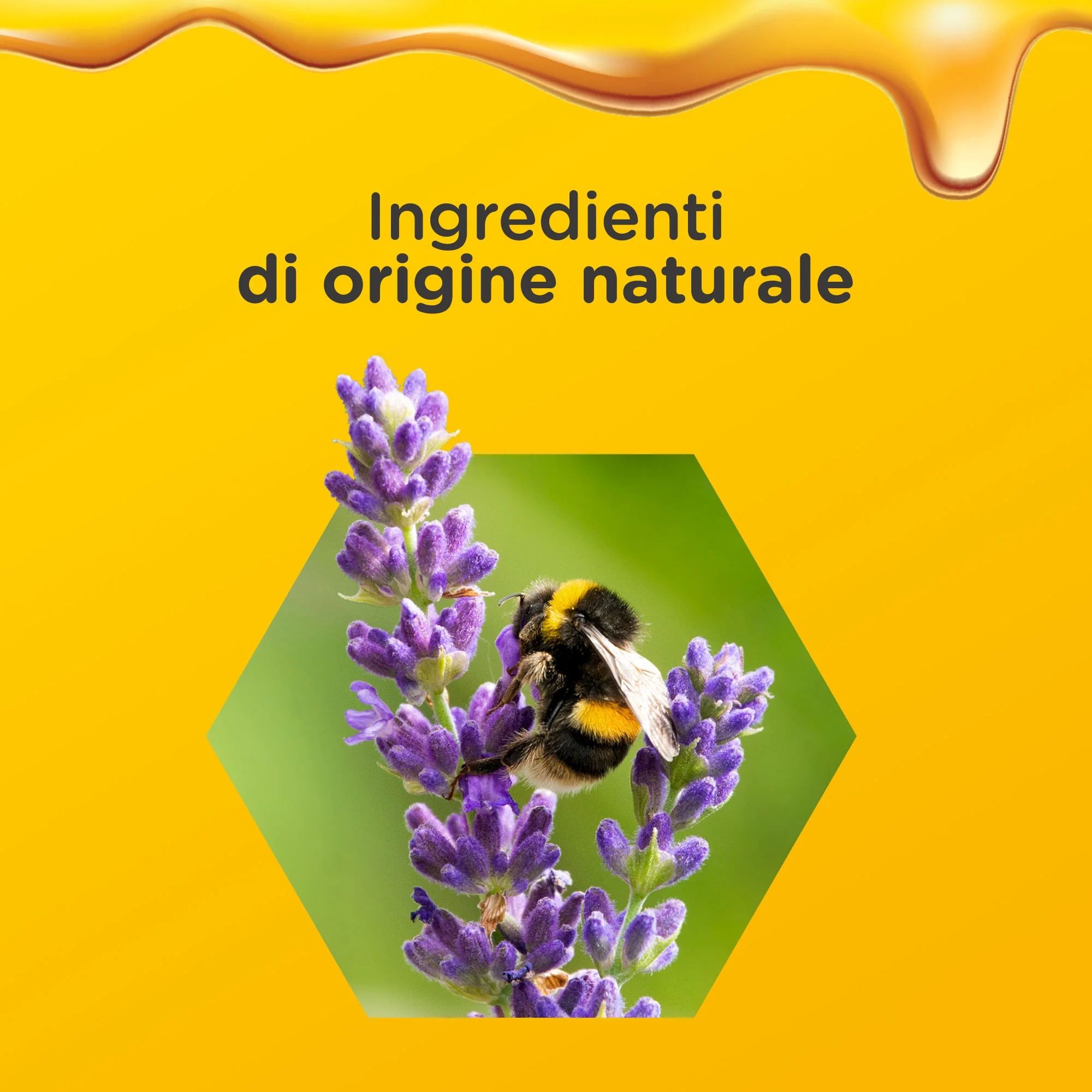ZARBEE'S Zarbee'S Défense Immunitaire Nocturne 120 ml sans lactose