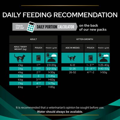 PURINA PRO PLAN Diete Veterinare Feline EN Gastrointestinal - Somon