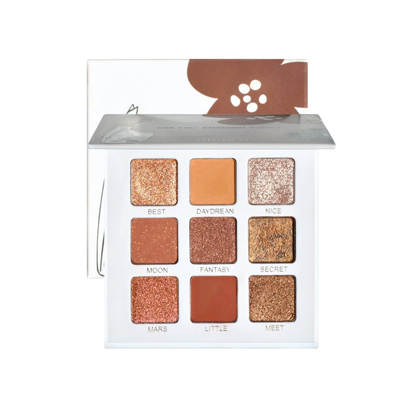 Palette di ombretti opachi a 9 colori, ombretti glitterati, pigmenti per occhi a lunga durata, ombretti brillanti, trucco, pigmenti cosmetici