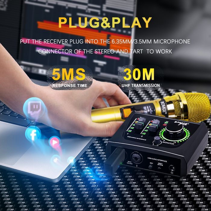 Professional 2-Channel Wireless Microphone System Kit for Karaoke and DJ, with Shiny Gold Microphone and Rechargeable Receiver