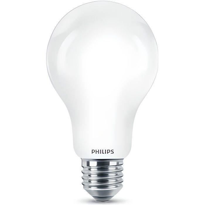 Lampadina LED PHILIPS non dimmerabile - E27 - 150W - Luce bianca fredda