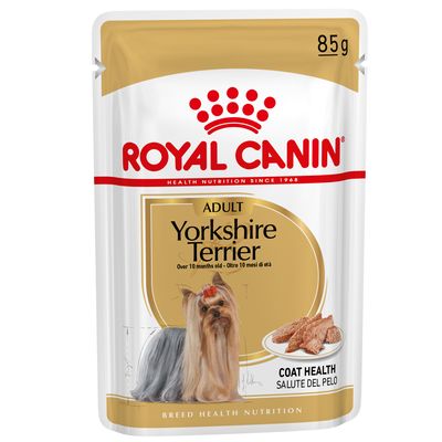 Royal Canin Yorkshire Terrier adulto
