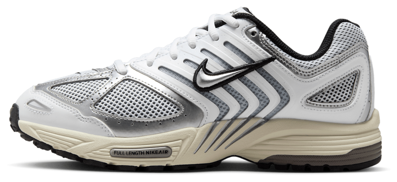 Nike Air Pegasus 2005