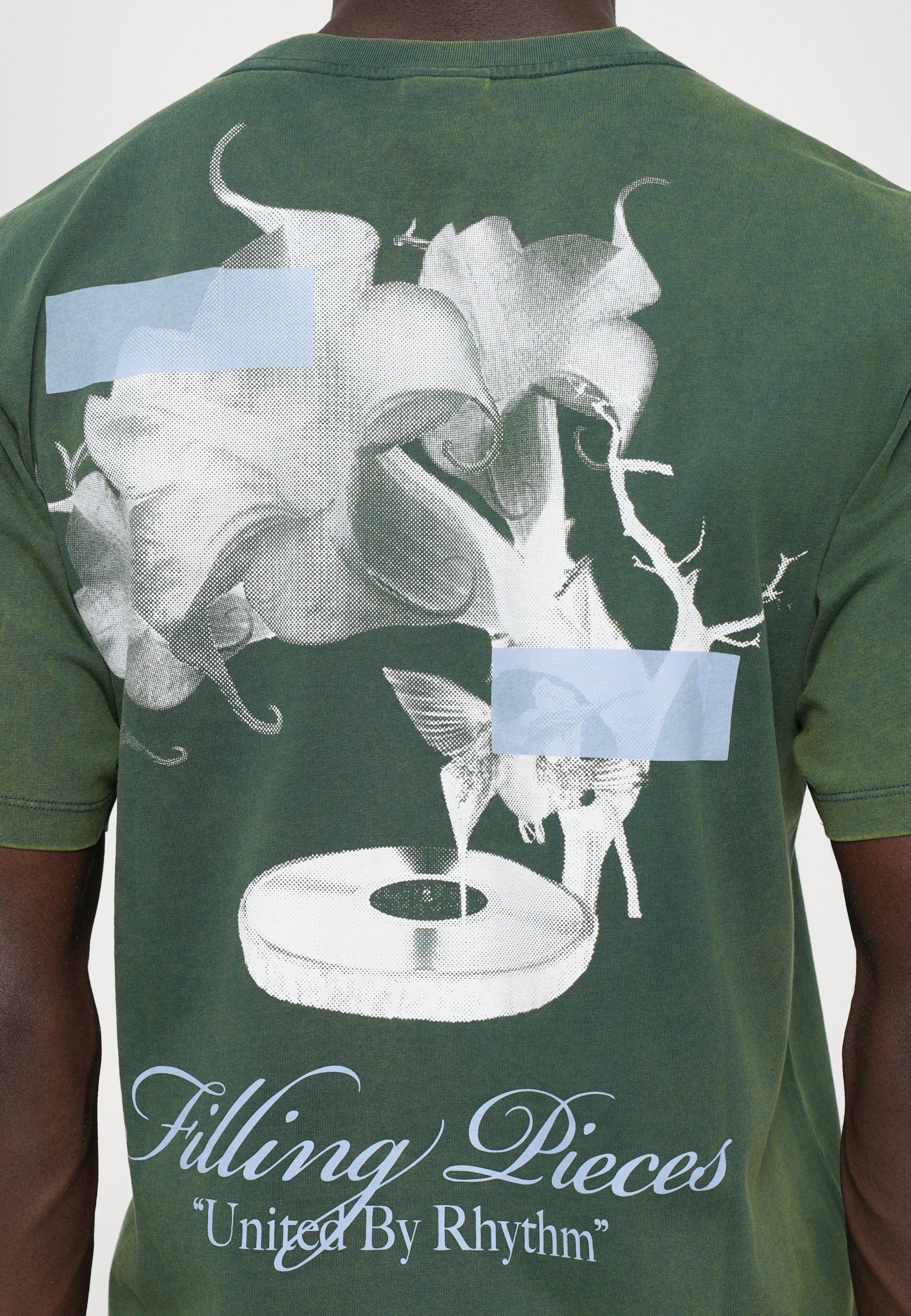 Vullingstukken GRAMMOPHONE - Print T-shirt - vintage dennenhout