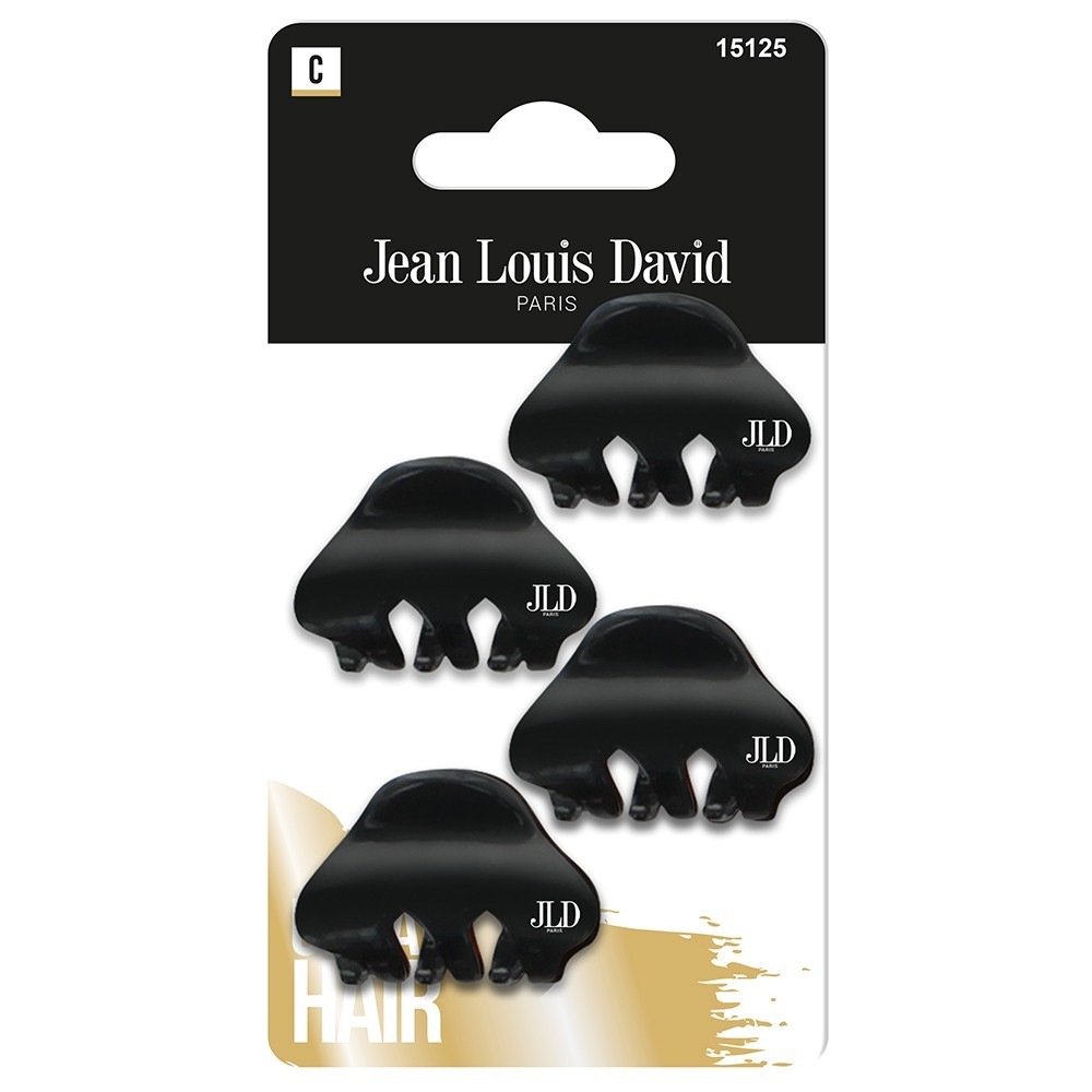 Jean Louis David ORNEMENTS MODE PETIT MODELE