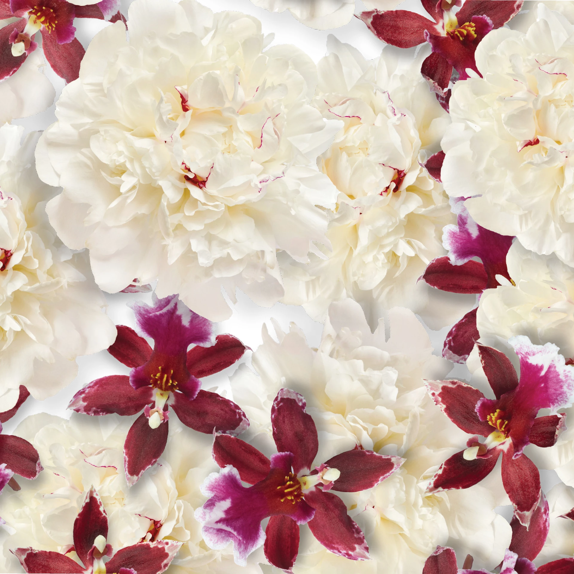 Fleurs De L'Himalaya EdP 50 ml - Rituals