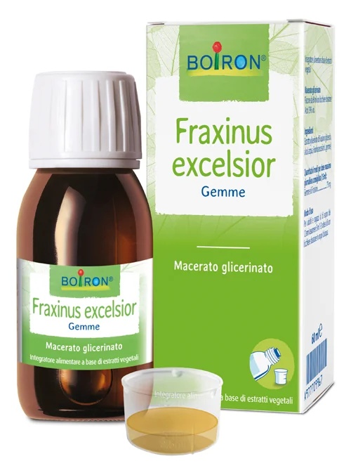 BOIRON Boiron Fraxinus Excelsior Gems Glycerinemaceraat 60 ml