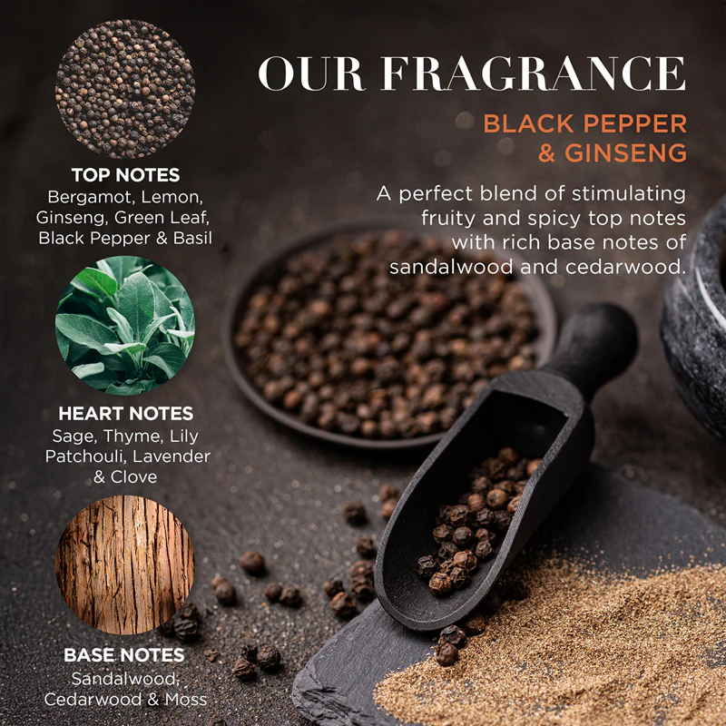 Conjunto de presente Baylis & Harding com pimenta-do-reino preta e ginseng em lata para homens