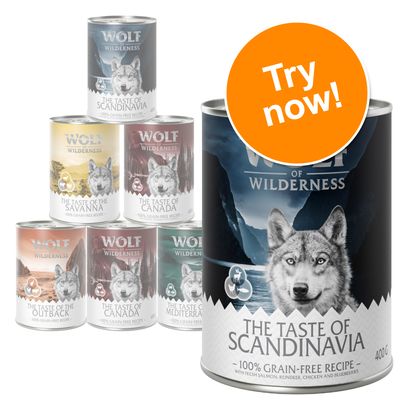 Wolf of Wilderness Adult „Gustul” Pachet mixt