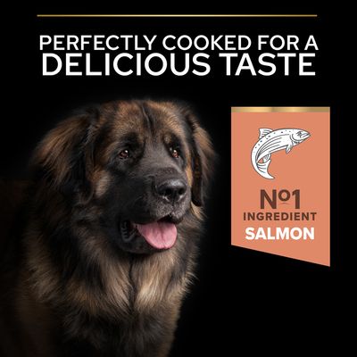 PURINA PRO PLAN Grand format, robuste, adulte, peau sensible, saumon