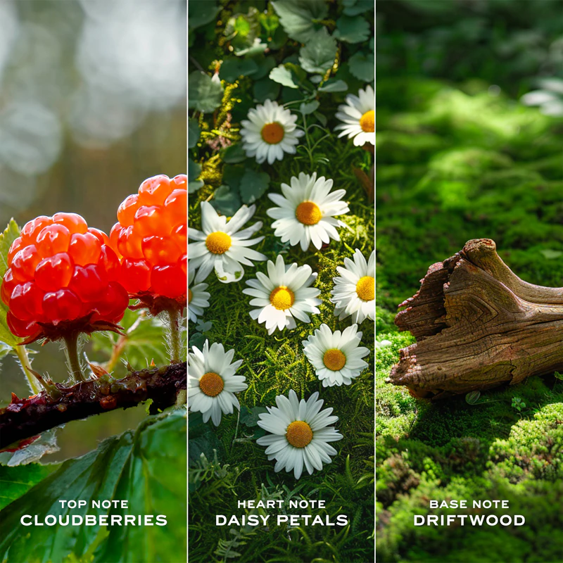 Dámska toaletná voda Marc Jacobs Daisy Love