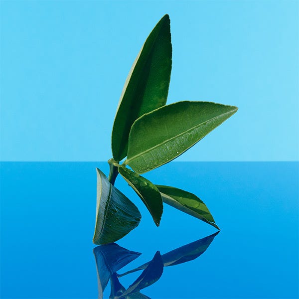 Ck One Summer| 100ML