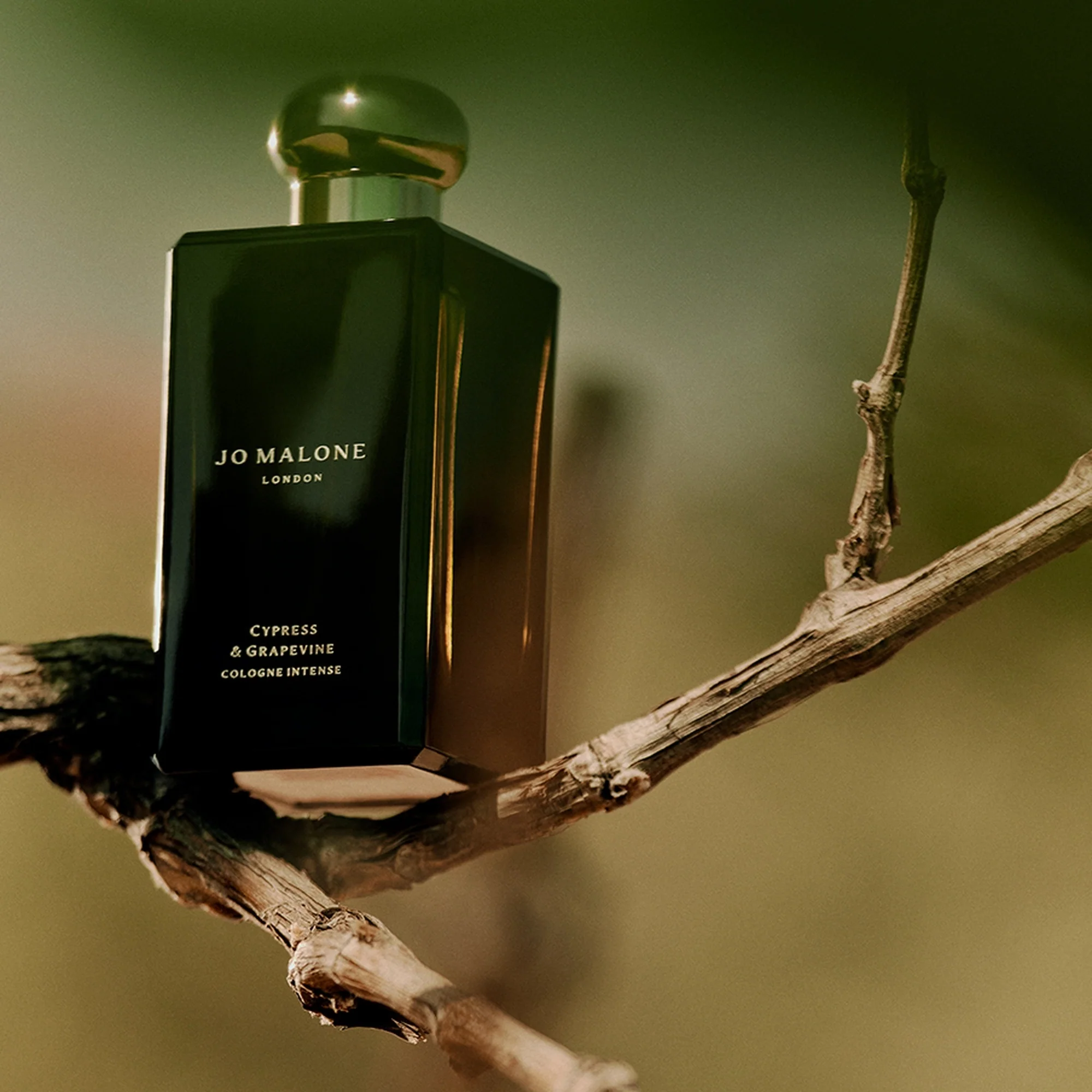 Colonie Intense Cypress & Grapevine - Colonia Unisex, Colonia, Eau de Parfum, Eau de Parfum Unisex