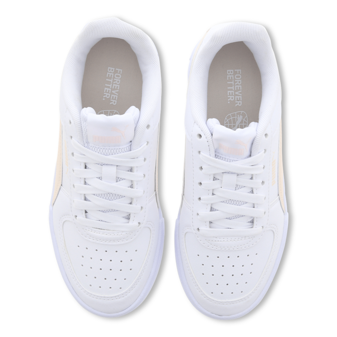 Puma-hulen