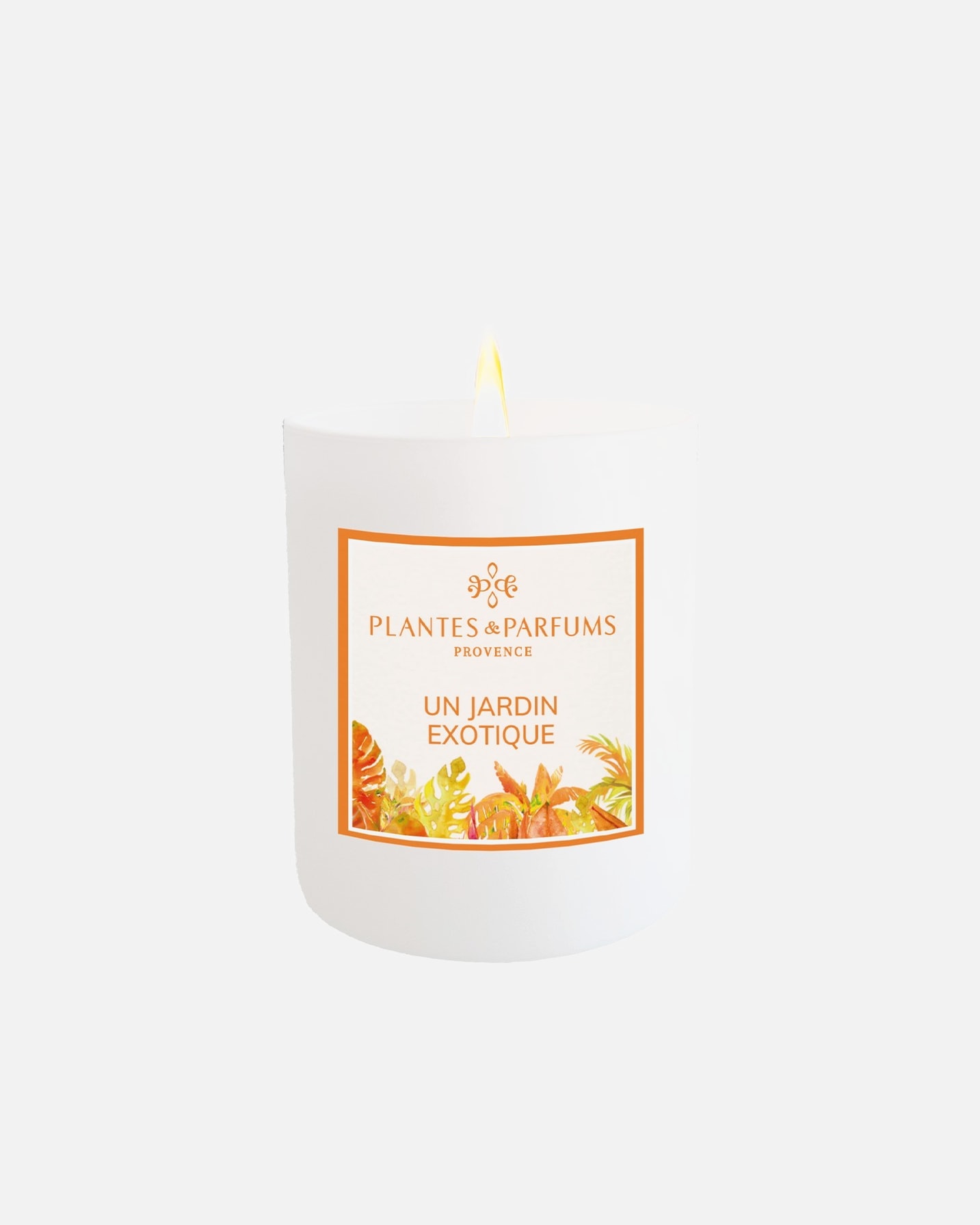 Plantes & Parfums Un Jardin Exotique