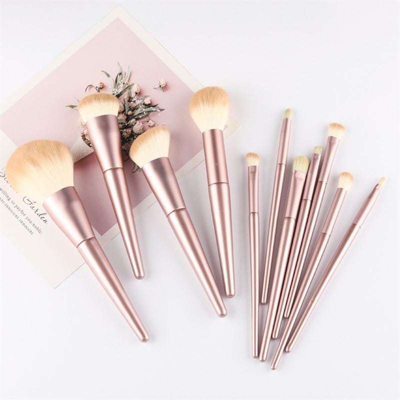 Technique Pro Brush Set set četkica za šminku za blistav izgled - ruža
