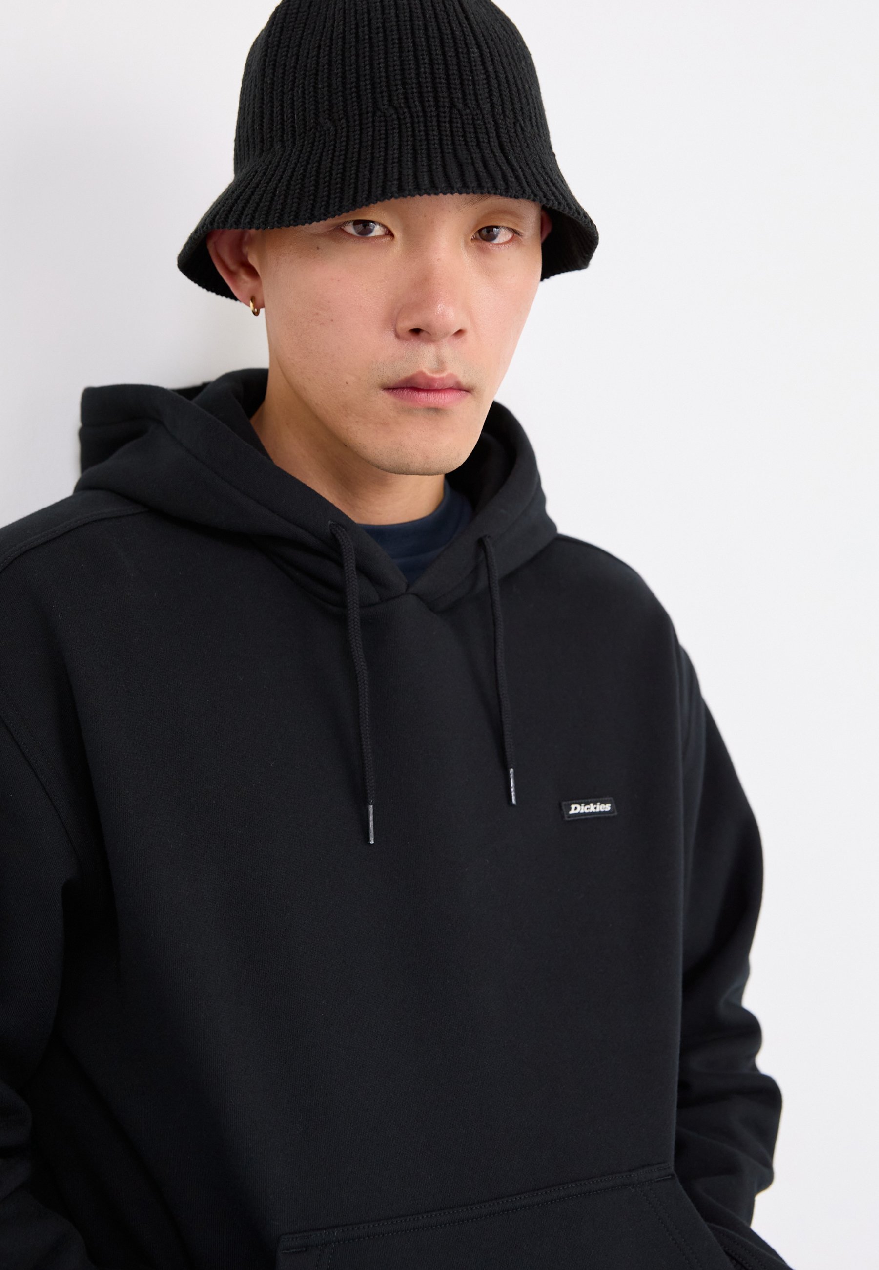 Dickies Hoodies