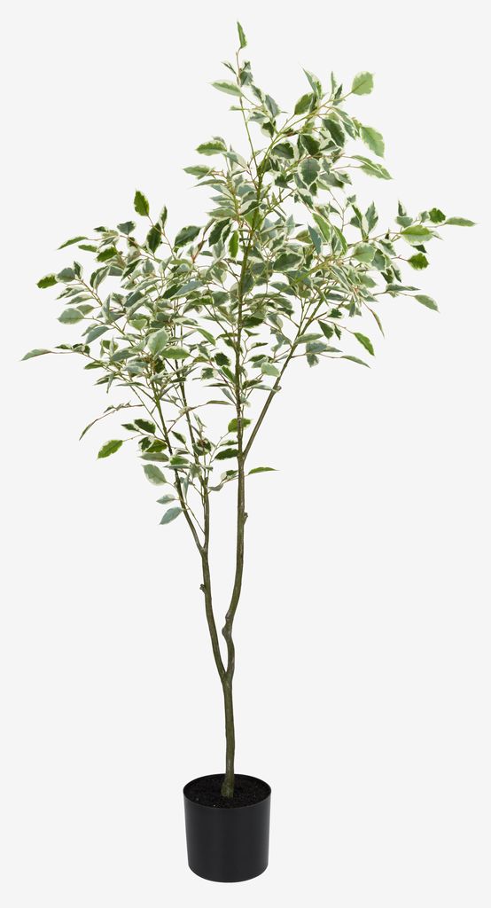 GUNNULF Umetna rastlina GUNNULF V150 cm z loncem