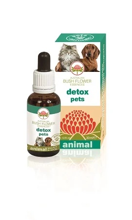 Producto desintoxicante para mascotas 30 ml