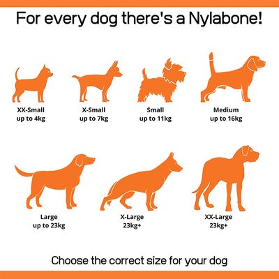 Παιχνίδι μασήματος Nylabone Puppy X Bone